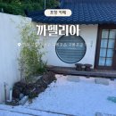 동백꽃마을 | 포항일본가옥거리 여행코스 추천! 동백꽃 촬영지 카페 까멜리아 후기