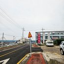 곽지횟집 | 제주 곽지해수욕장 해변 횟집 내돈내산 회 맛집