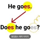 잇썸커피(eat some coffee) | [Do? Does?] 영어 질문 이것만 알면 끝! | "너 커피 마셔?"