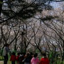 안덕계곡 앞 3 이미지