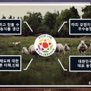 이레흑염소