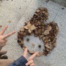경주(부산) 이미지
