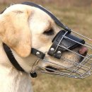 머즐(Muzzle) 이미지