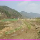 전원오토캠핑장 이미지