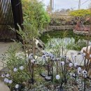 VR임팩트 | 제주애월체험 아이랑 가볼 만한 곳｜애월 공포 테마 카페 몽달 후기