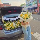 프로포즈 시즌2 | 진주 트렁크 프로포즈 승용차·SUV 가격 비교 &amp; 산청 프러포즈 후기