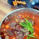 초당본가 이미지