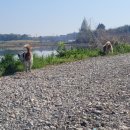 재동농장 이미지