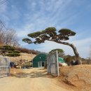 고산정 농장