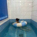 돈내코온수풀빌라(가동) | 가평 남이섬 그랑나랑 풀빌라 프라이빗 수영장 감성 숙소 추천