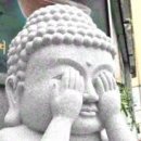 약손풋샵 이미지