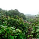 오색초등학교 이미지