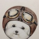 힐링위드독 이미지