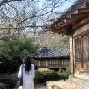 행운실비 이미지