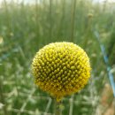 동창농장 이미지