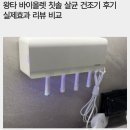 바이올렛문 | 왕타 바이올렛 칫솔 살균 건조기 후기 실제효과 리뷰 비교