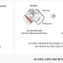미래메딕스 | '에스바이오메딕스', 파킨슨병 치료제 美 임상 3상 가속화 (feat 카탈란트)