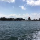 대도파라다이스