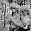 맛있는 집밥요리 이미지