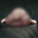 대교주유소 | 부산여행 2박 4일 먹고 먹고 또 먹은 현실 후기