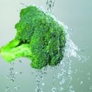 지엑스월드 이미지