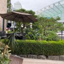 24시 수 동물메디컬센터 이미지