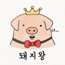 돼지왕 네이버블로그