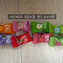 캔디멍 | 샤오커오라 시즌2/ 트로피칼 8개,무설탕 한입사탕 식사하고 입 안이 개운해져요. 내돈내산 리뷰!