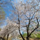 노작공원(오산천변) 이미지