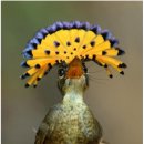 소망행정사사무소 이미지