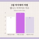 팜 비치 | 마이애미 날씨 5월, 웨스트 팜 비치 수영 후기 (올랜도 VS 마이애미)