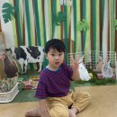 🪵🍃🐰늘봄반 동물농장 놀이🐰🪵🍃 이미지