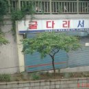 딸기언니