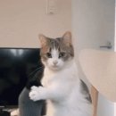 나이스안마시술소 이미지