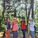 마곡사1 이미지