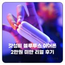 보니 | 가성비 블루투스 이어폰 2만원 사용해 보니 리얼 후기
