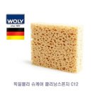 스폰지