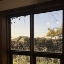 미향곰탕 | 제주도 여행기✈️🍊