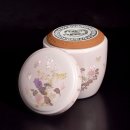 반려동물 이동서비스 이미지