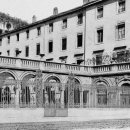 리옹동물병원 이미지