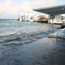 리틀미코노스5 이미지