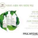 티트리헤어샵