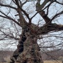 원주굽이길 10코스 천년사지길 이미지