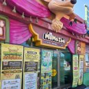 신화와 오늘 | [내돈내산🐍🐦] 제주 신화월드 동물원, 너무 만족했던 모모쥬 이용후기! MOMOZOO🦝🐰