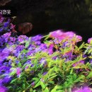 통리장 코스 이미지