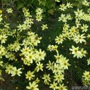 보미리즌빌 화장실 이미지