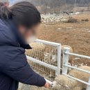 세림목장 이미지