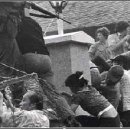 월남농장 이미지