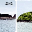 월등도민박 이미지