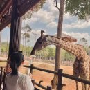 머뭄글로리 | 푸꾸옥 1박2일